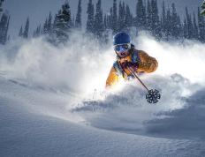 温网最新形势：菲尼克斯太阳高居榜首，热刺强势追赶，冠军归属成迷的简单介绍